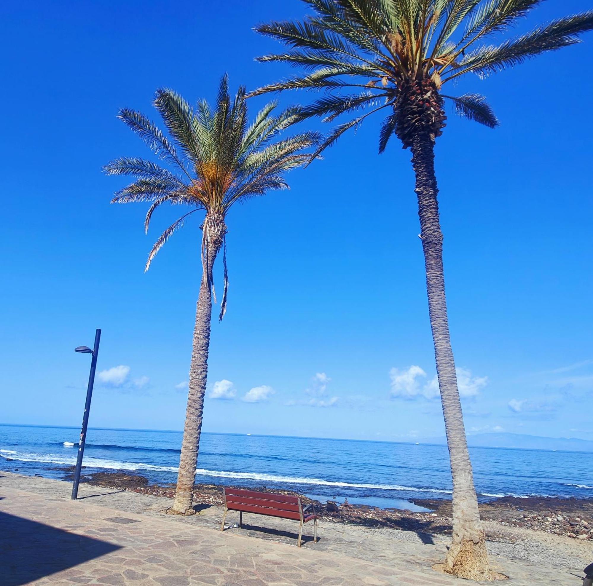 Parque Santiago 2 En Playa De Las Americas Arona  Bagian luar foto